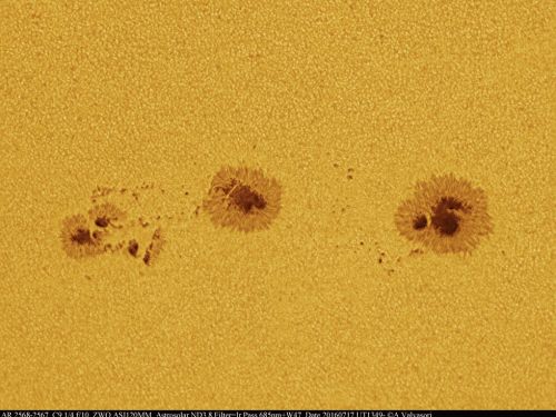 Sunspot AR2565-2567