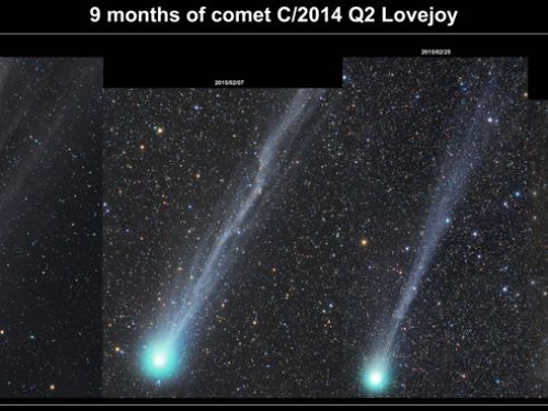 9 mesi di cometa C/2014 Q2 Lovejoy