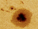 Sunspot 3310