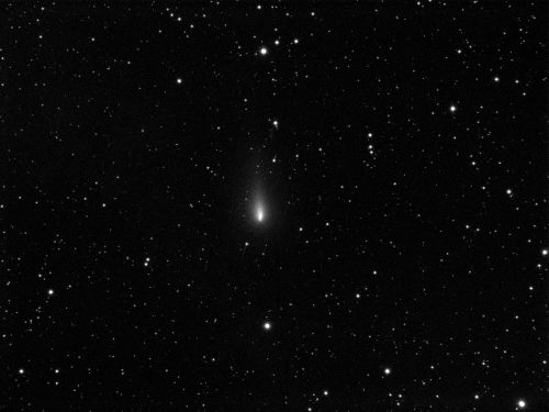 Cometa C2019 Y4 Atlas