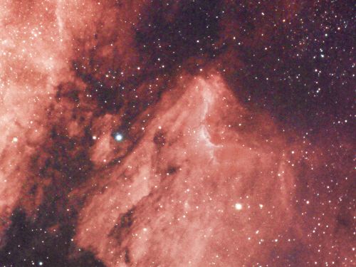 Pelican Nebula IC 5067