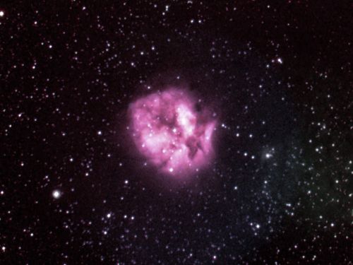 IC 5146 Nebulosa Bozzolo (Cocoon Nebula)