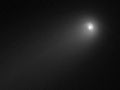 Cometa C /2020 f3 Neowaise
