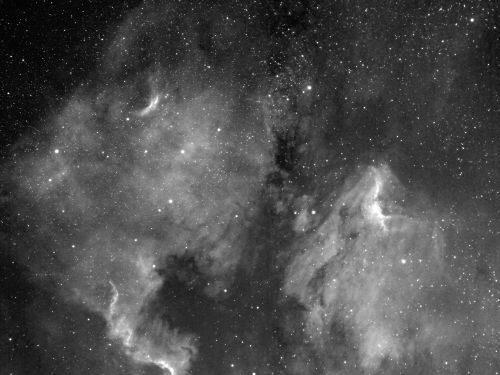 NGC 7000 e IC 5067
