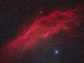 Nebulosa California in Ha-RGB