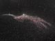 Ngc6960-Veil Nebula Nel Cigno