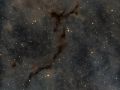 la nebulosa Cavalluccio Marino