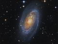 La galassia di Bode – M81