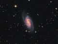 NGC2903 nel Leone