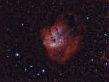 Nebulosa Tadpoles