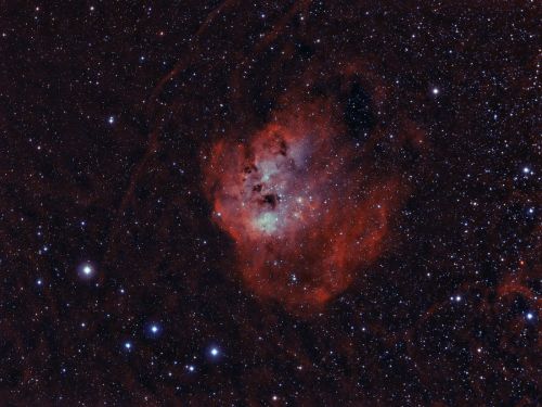 Nebulosa Tadpoles