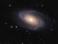 Galassia di Bode (M81)