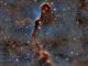Trunk Nebula (VDB142)