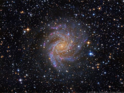 NGC 6946 – Fireworks galaxy