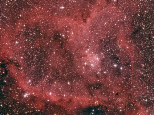 W4 e IC1805 – Nebulosa Cuore