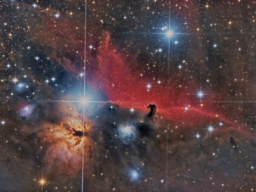 Nebulosa Fiamma e Testa di Cavallo Coelum Astronomia