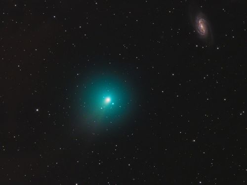 C/2018 Y1 & NGC 2903