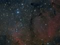 vdB 142 – Nebulosa Proboscide di Elefante