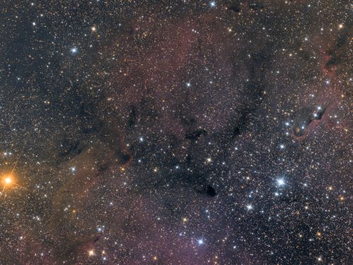 μ Cephei – vdB 142 (Elephant’s Trunk Nebula) – IC 1369