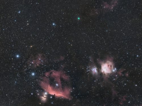 Orione accoglie la Cometa Atlas (C/2020 M3)
