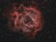 NGC 2237 - Nebulosa Rosetta