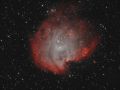 Testa di Scimmia – NGC 2174