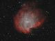 Testa di Scimmia - NGC 2174