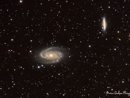 M81 M82 – Galassie Bode e Sigaro