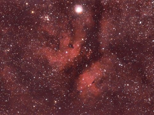 Sadr e IC 1318 (Nebulosa Butterfly)