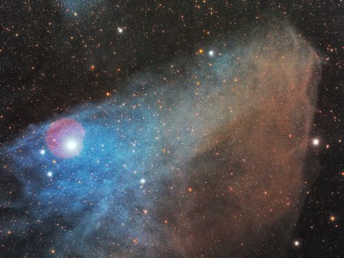 A Blue Horsehead (IC 4592)
