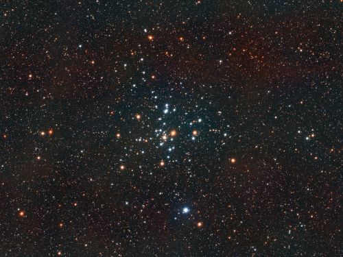 Il piccolo ammasso di alveari (Messier 41)