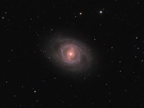 GALAXY A SPIRALE BARRATA M95 (NGC 3351)