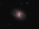 GALAXY A SPIRALE BARRATA M95 (NGC 3351)