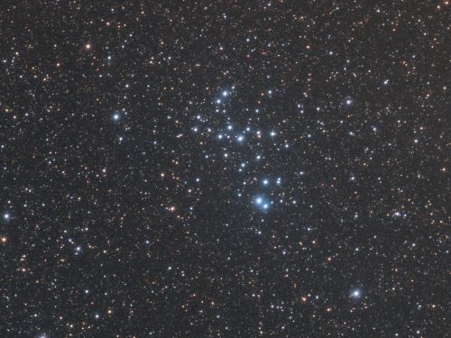 NGC6025
