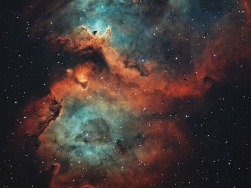 NGC 1848 – Nebulosa Anima