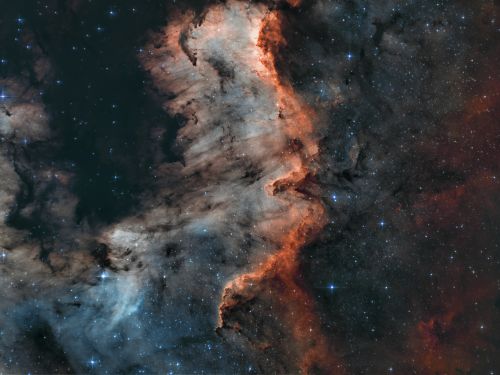 NGC 7000 – Muro del Cigno