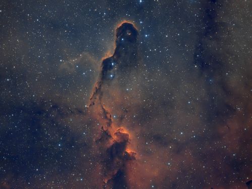 vdB 142  Nebulosa Proboscide di Elefante