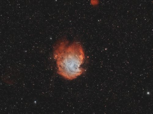 Sh2-252 Nebulosa Testa di Scimmia