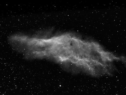 NGC  1499 Nebulosa California