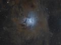 NGC7023 – Iris nebula