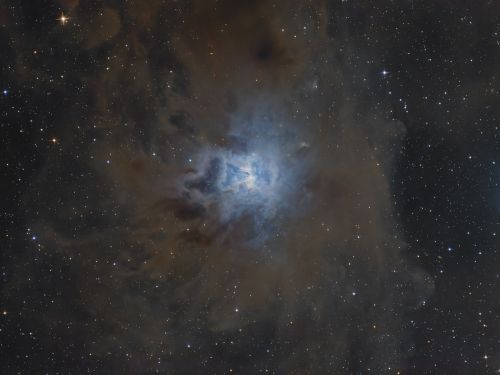 NGC7023 – Iris nebula