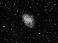 M1 Nebulosa del Granchio Mono