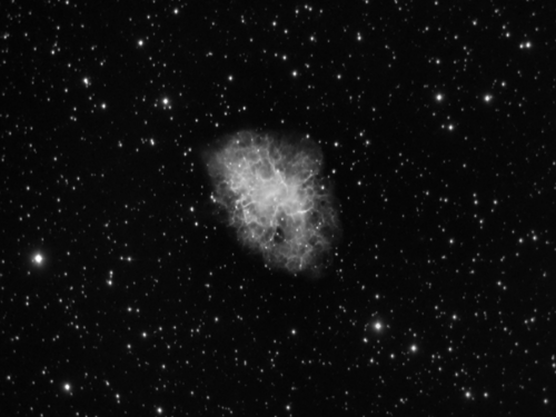 M1 Nebulosa del Granchio Mono