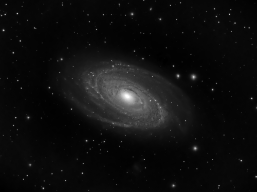 M81 Luminanza