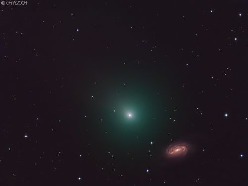 Cometa C/2018 Y1 Iwamoto accanto a NGC2903