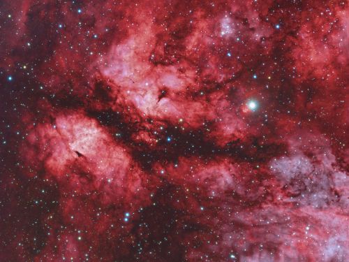IC1318 Nebulosa Farfalla