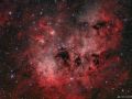 IC410 Nebulosa Girini