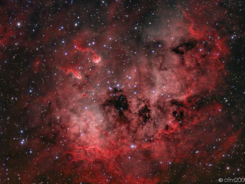 IC410 Nebulosa Girini