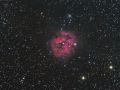 IC 5146 o SH2-125 Nebulosa Cocoon