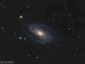 M81 Galassia di Bode